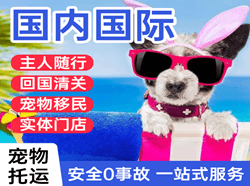 阿拉善左旗巴彦浩特航空托运国际宠物托运 【国